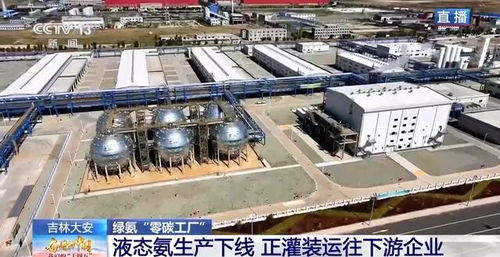 零碳工廠 新能源“就地生金”，全鏈條綠色消納體系引領未來